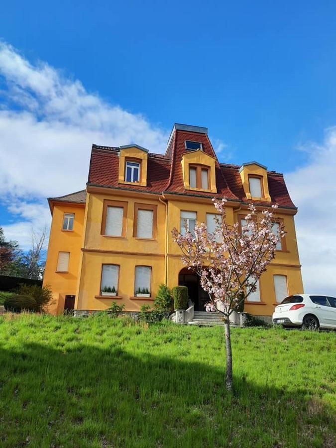 Studio Soleil Au Hohwald Buitenkant foto