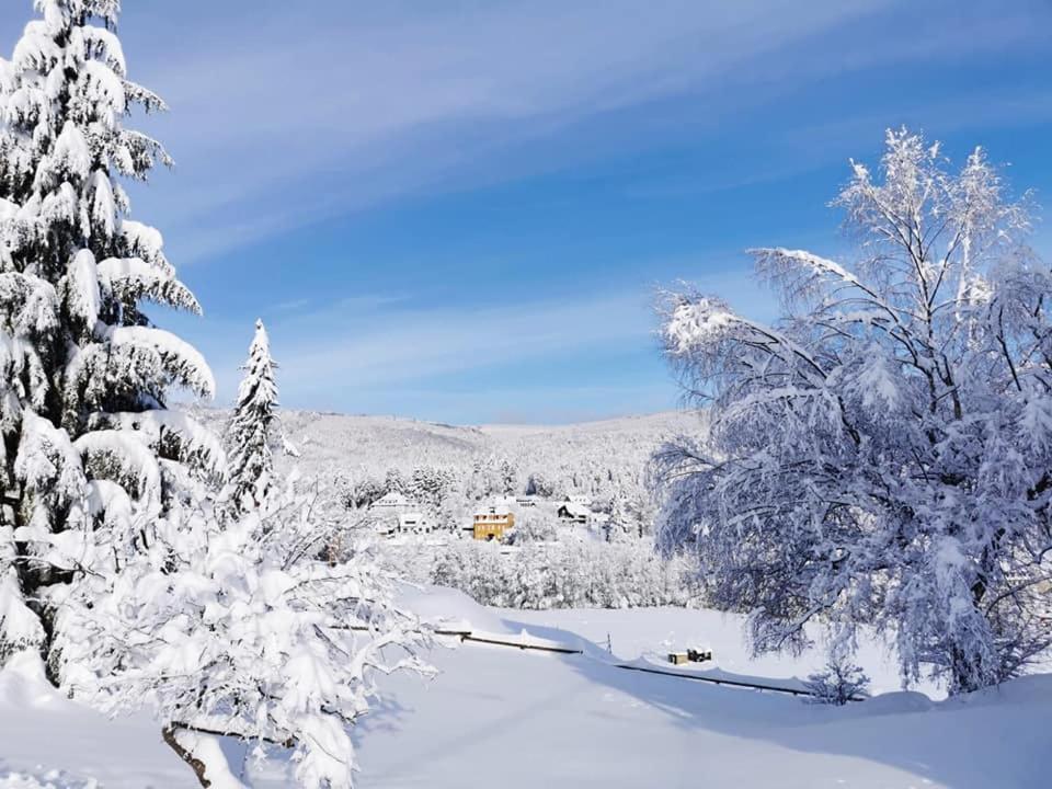 Studio Soleil Au Hohwald Buitenkant foto